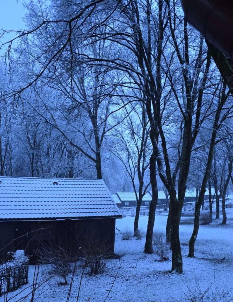 Chalet 9 La Boverie ريندو المظهر الخارجي الصورة